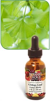 Ginkgo Leaf Liquid Extract